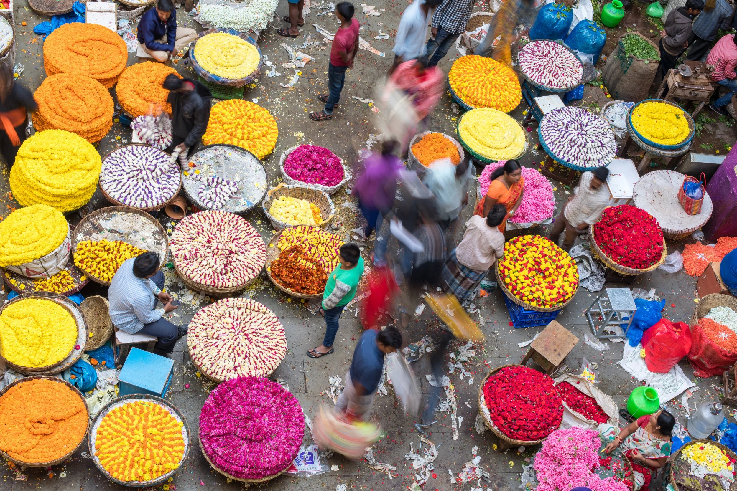 KR Market tours