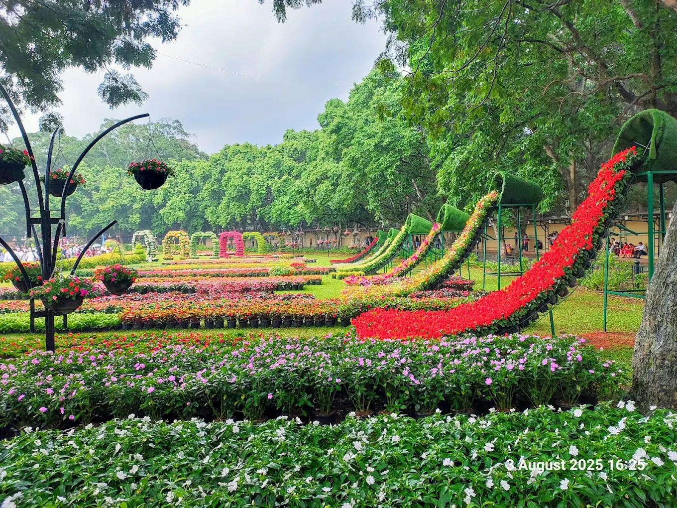 Lalbagh Botanical Gardens tours