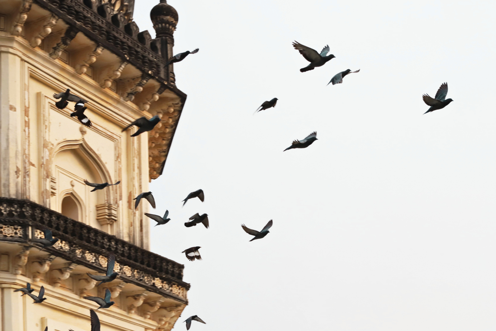 Hyderabad Airport: Layover Sightseeing Guided Tour