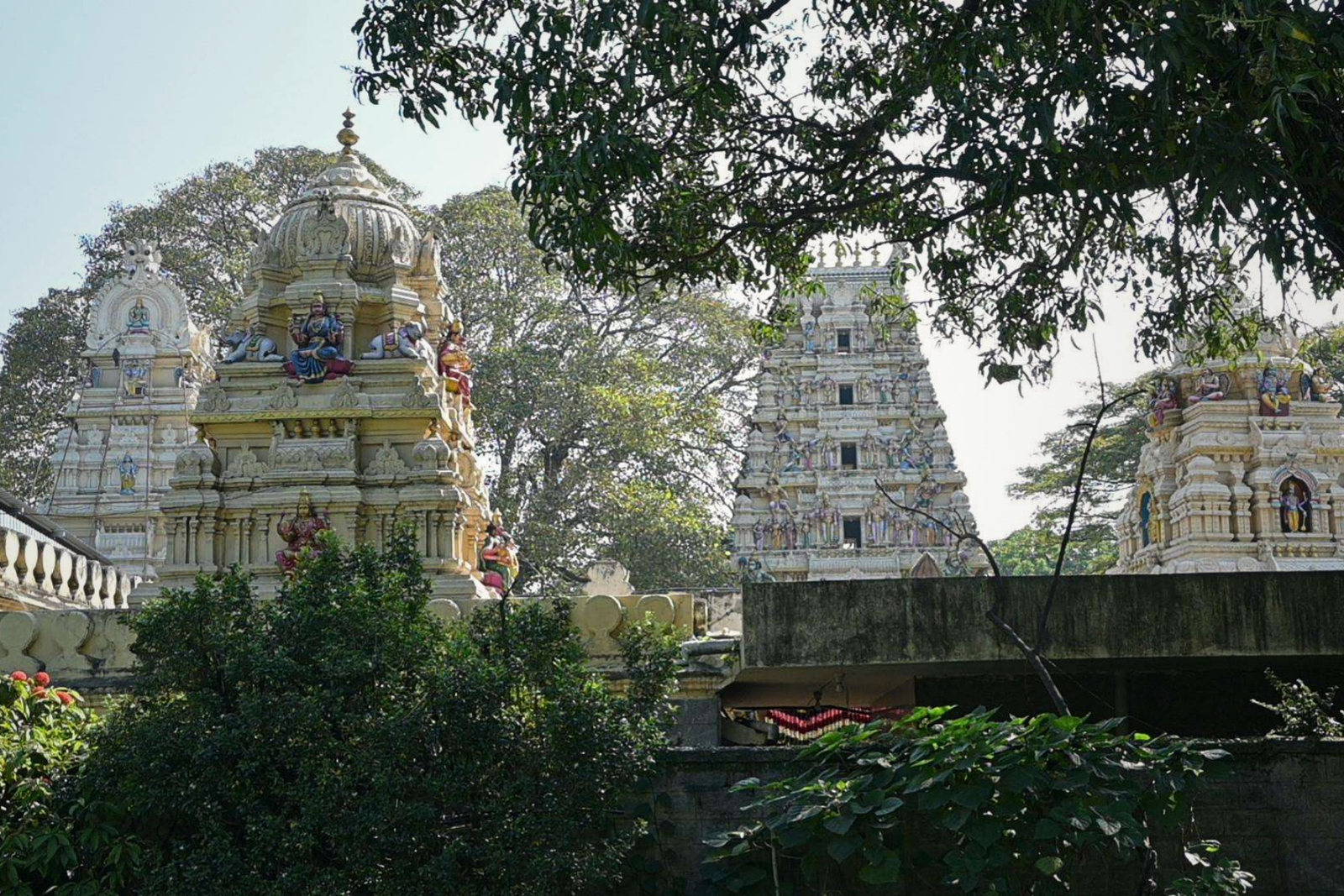 Bangalore Palace, Temples, Fort & Markets Walking Tour