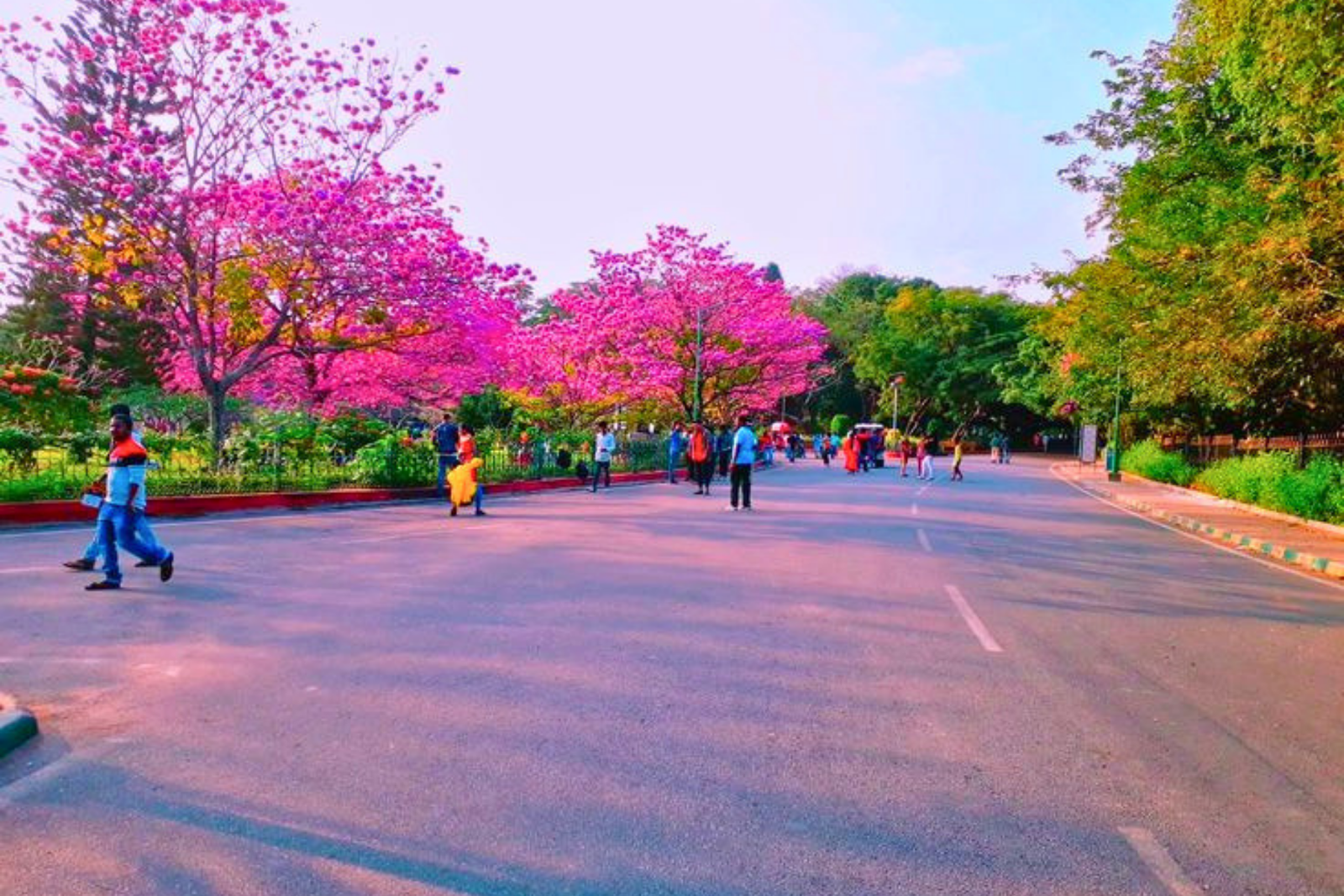 Bangalore Half-Day City Highlights Tour with Pickup
