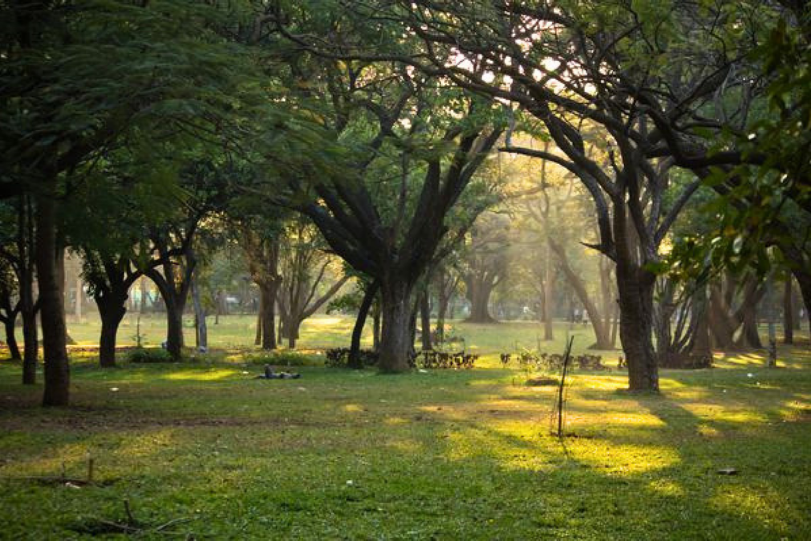 Bangalore Half-Day City Highlights Tour with Pickup