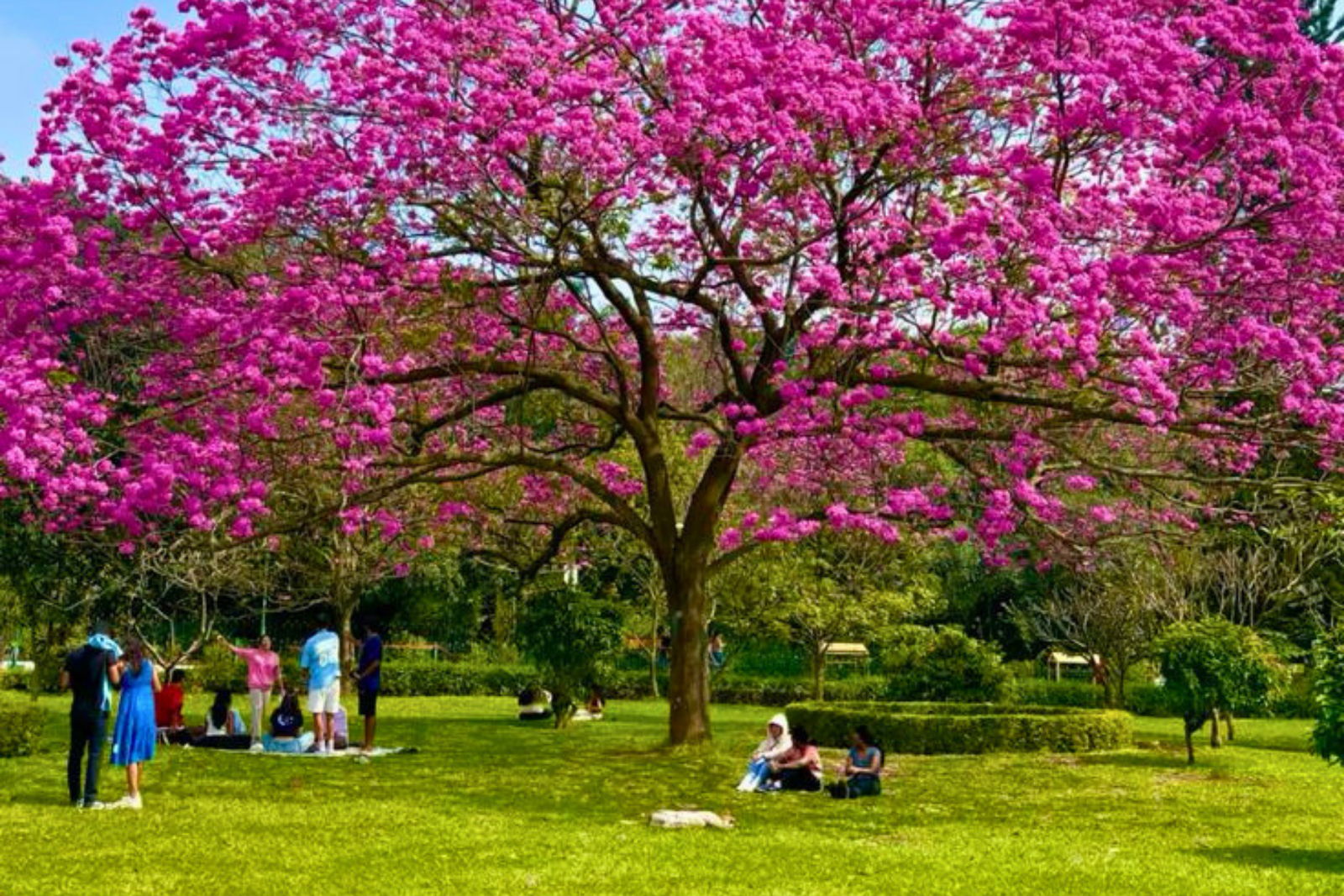 Bangalore Half-Day City Highlights Tour with Pickup