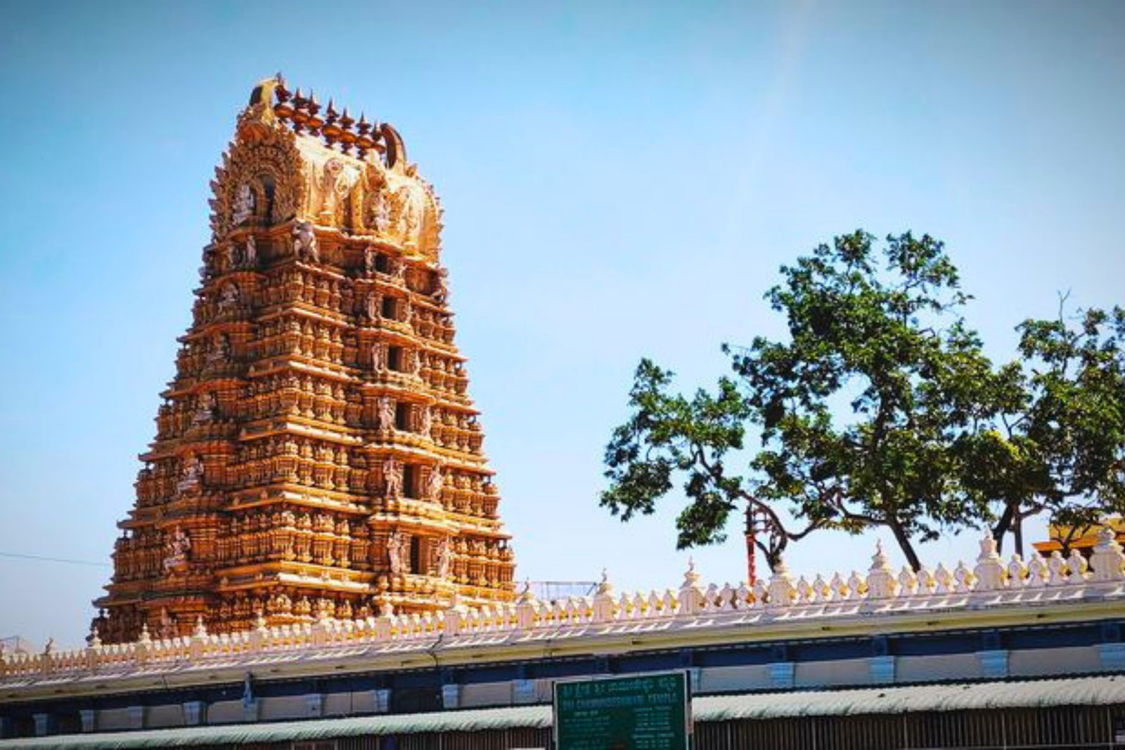 Bangalore to Mysore Private Guided Full-Day Trip