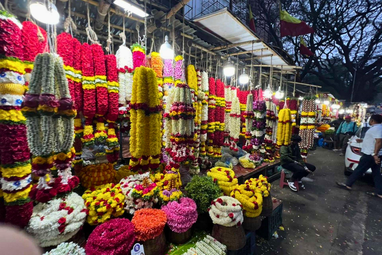 Bangalore Explore at Night with a Local Tour Guide