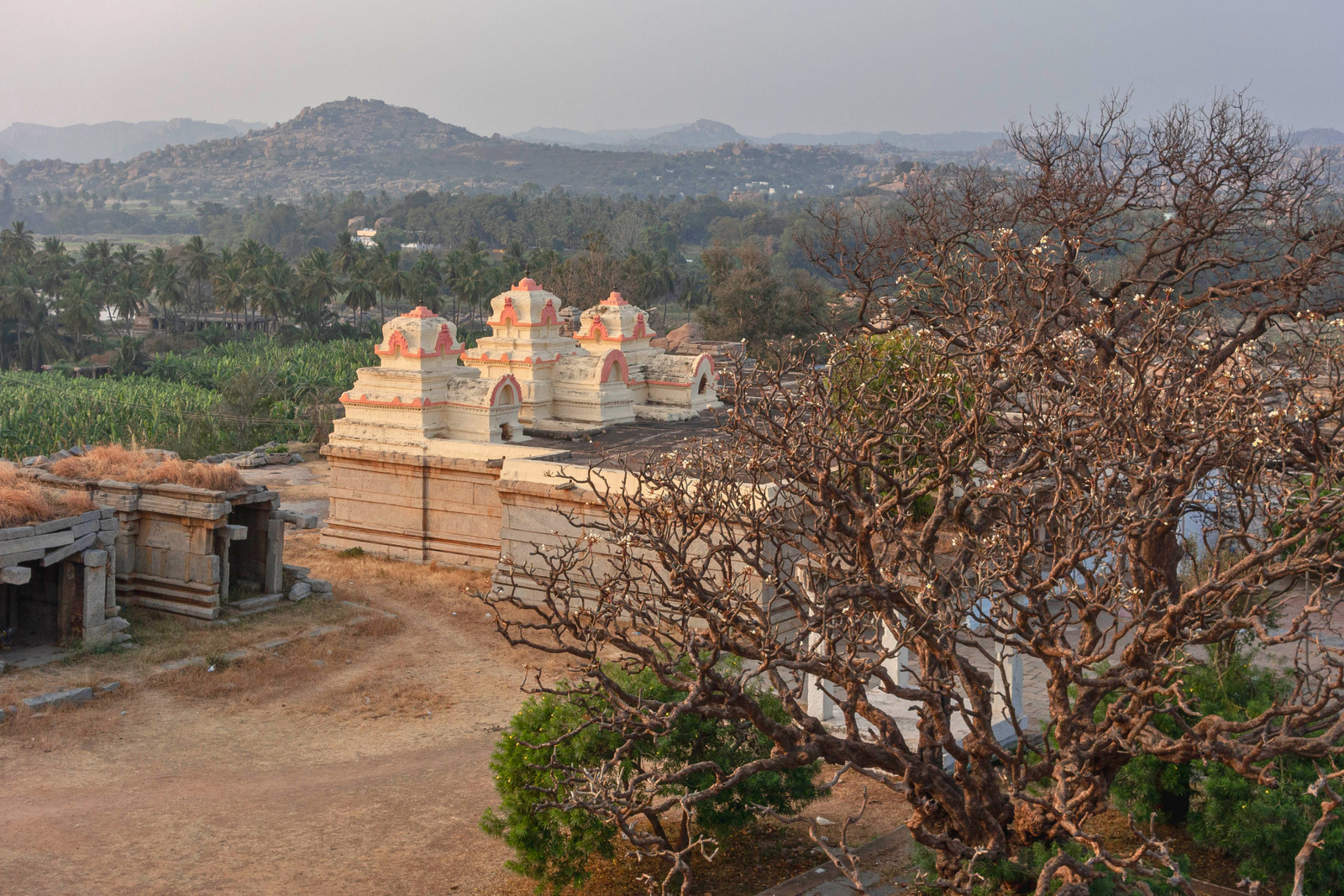 Bangalore Explore at Night with a Local Tour Guide