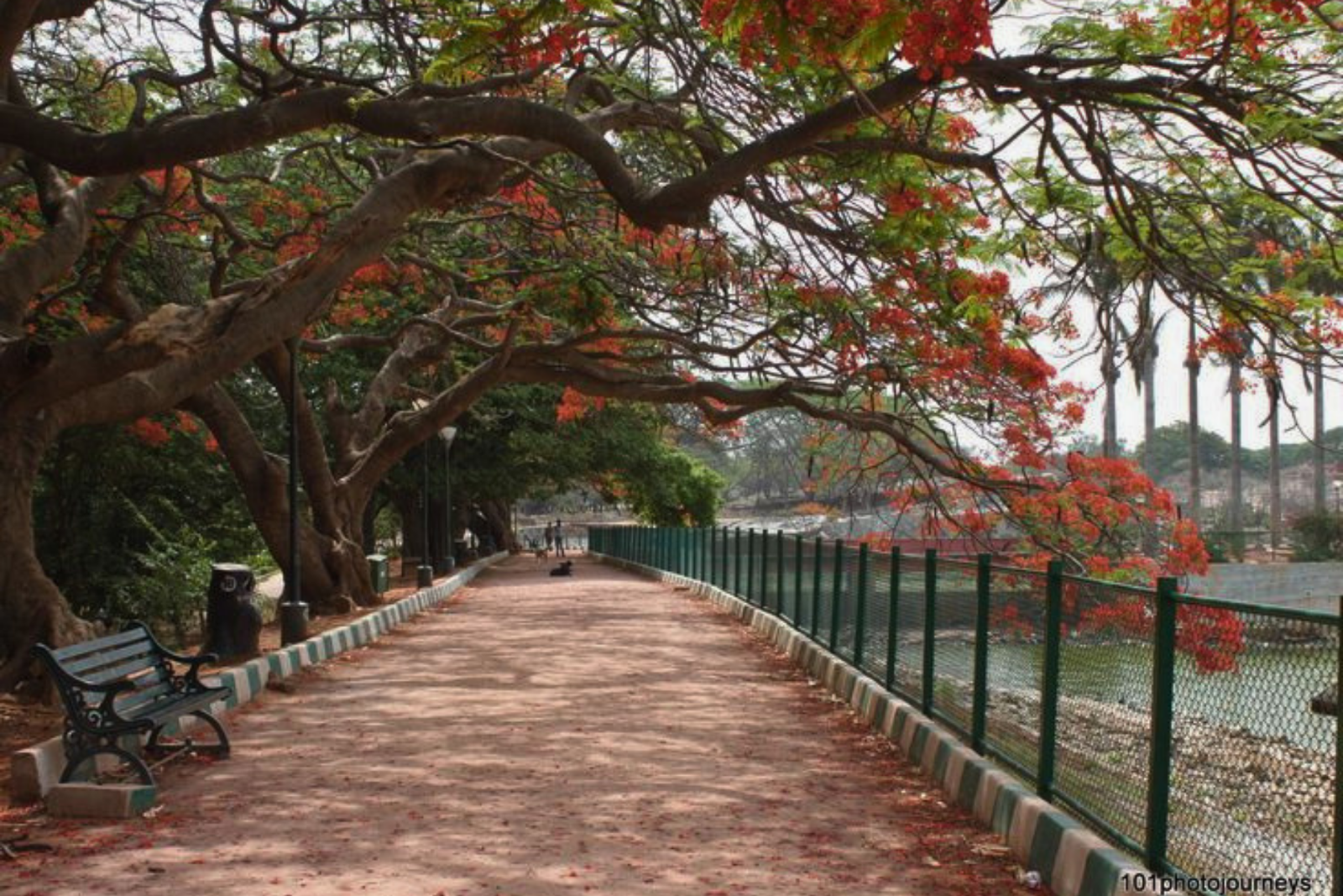 Bangalore Full-Day City Highlights Tour with Pickup