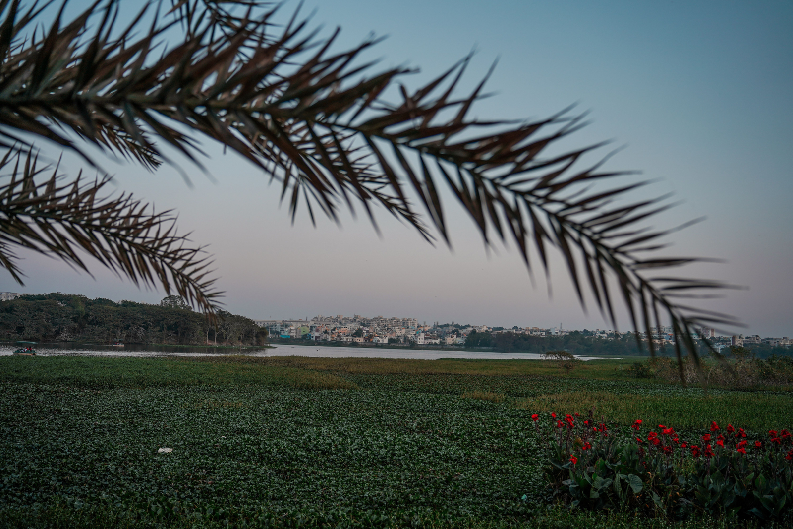 Bangalore Explore at Night with a Local Tour Guide