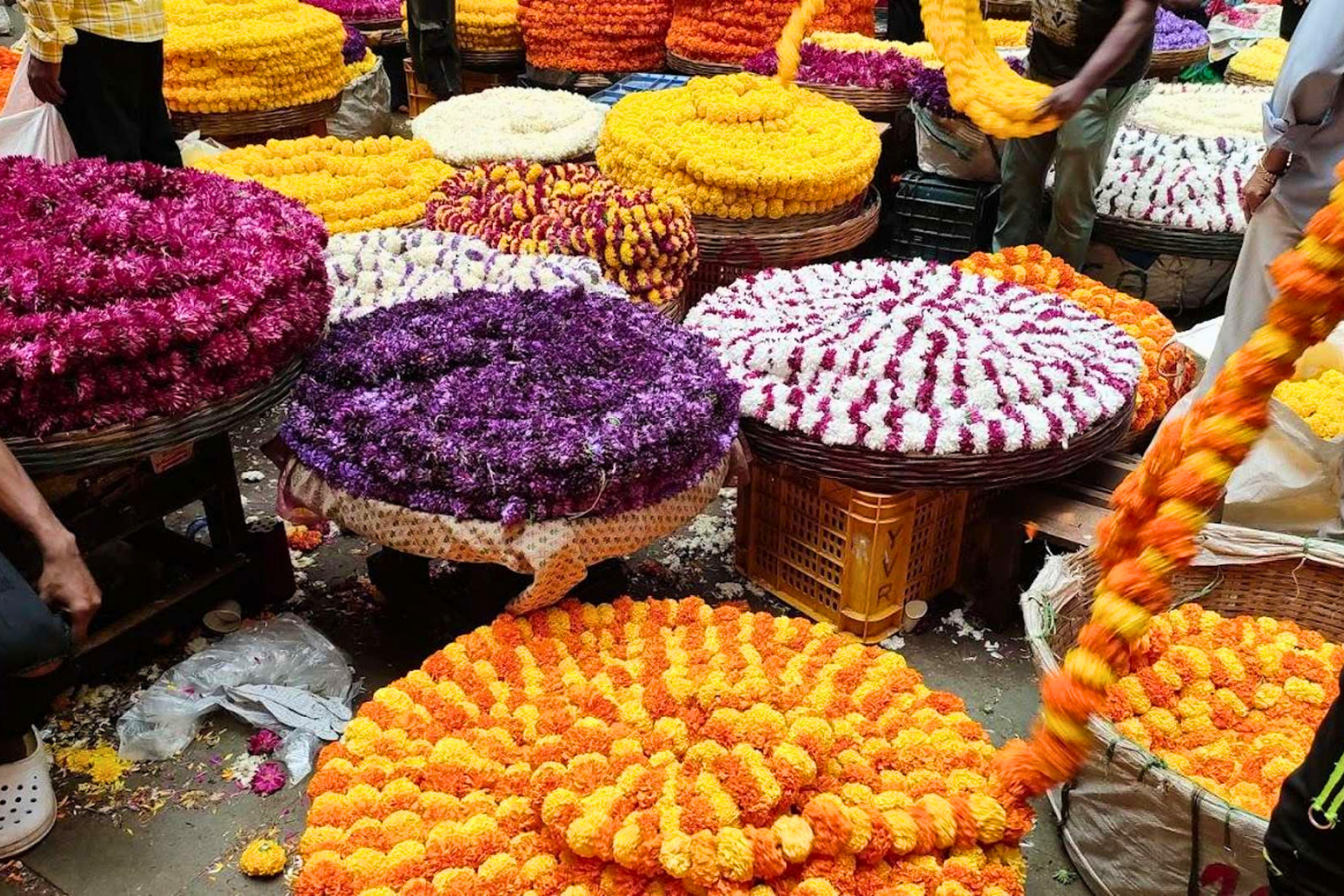 Bangalore Evening Food Street Walk & Market Tour