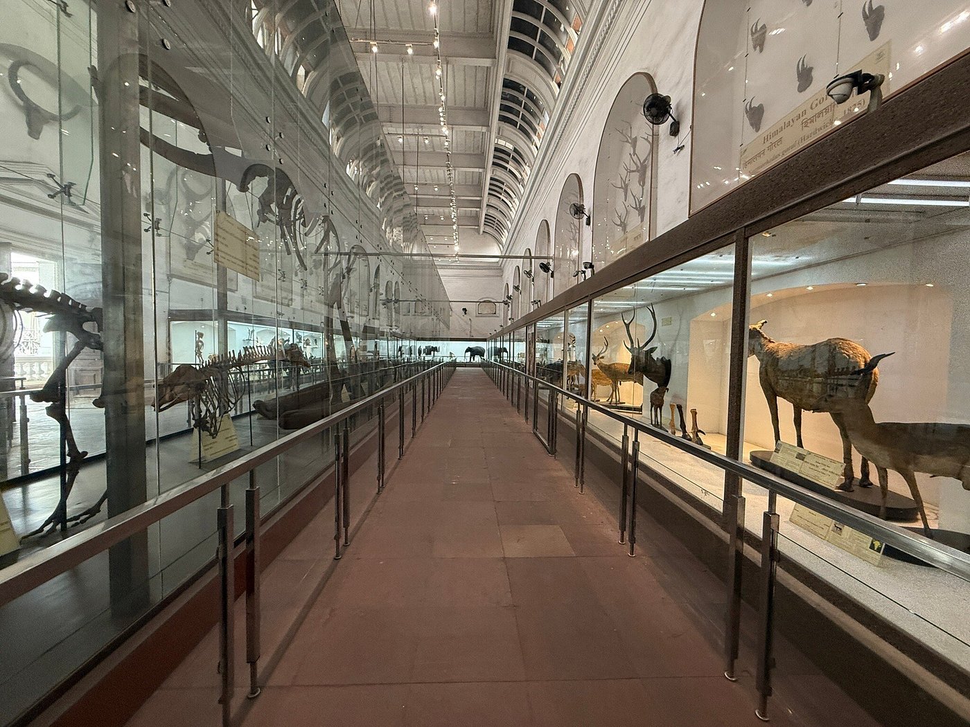 Indian Museum Kolkata tours