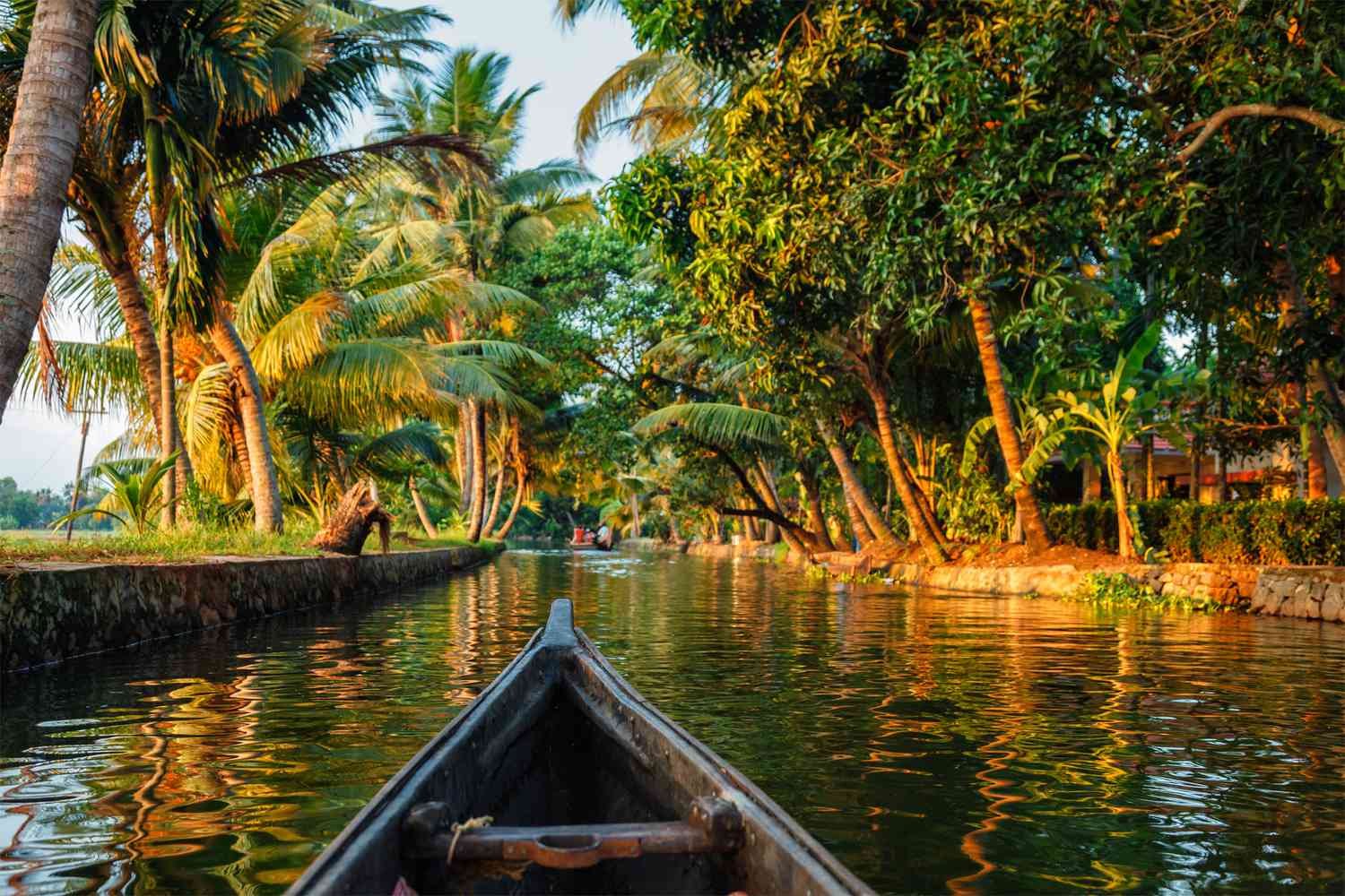 Kerala Backwaters Kochi tours
