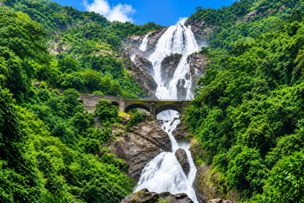 Goa Dudhsagar Waterfall, Jungle Safari & Spice Farm Experience
